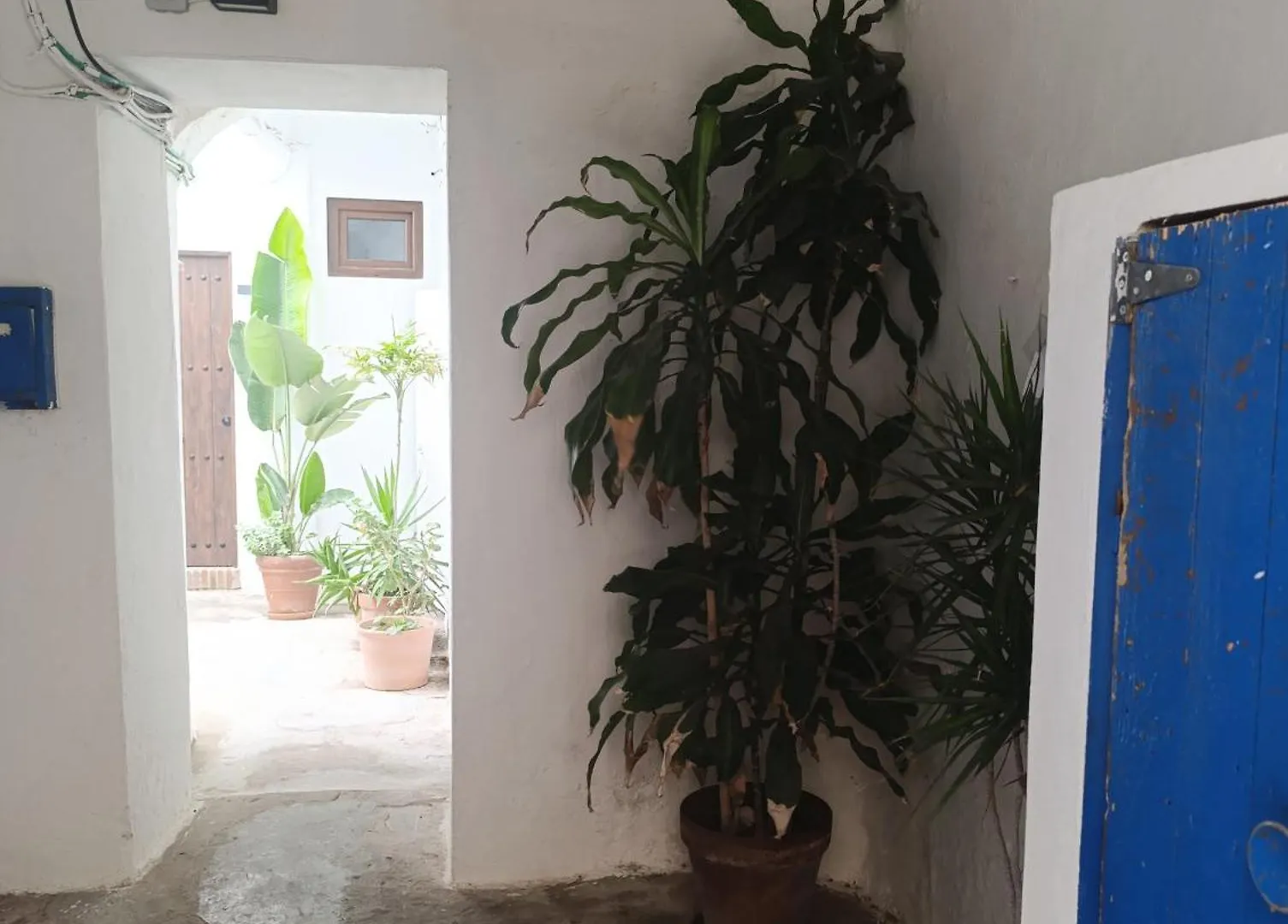 Estudio Centro Con Jardin Compartido 타리파